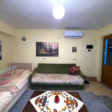 Blue Guesthouse Gjirokastra Kültér fotó