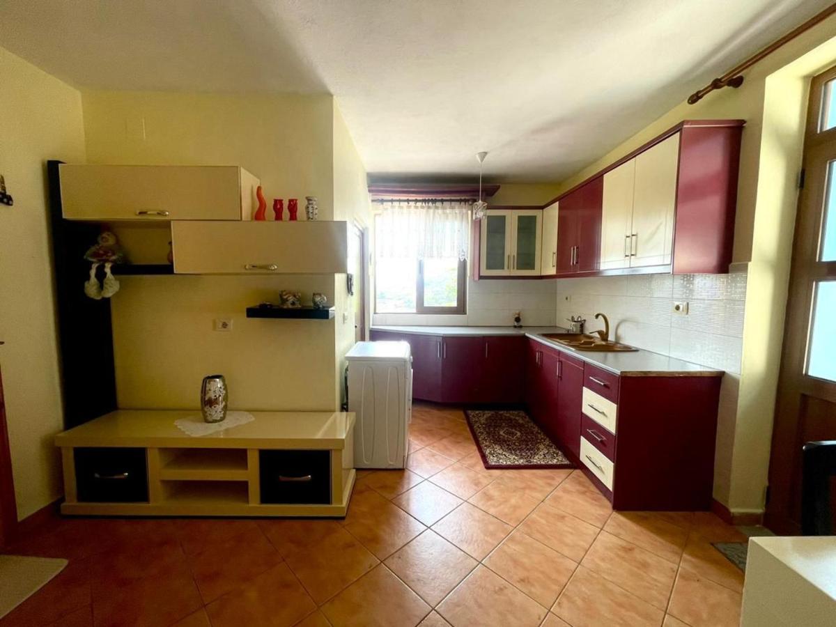Blue Guesthouse Gjirokastra Kültér fotó
